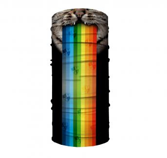 RAINBOW CAT